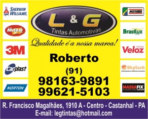 L & G Tintas Automotivas
