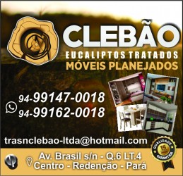 Clebão - Eucaliptos Tratados Madeira e Móveis Rústicos