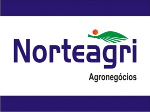 Norteagri Agronegócios