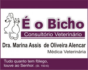 Consultório Veterinário - É o Bicho