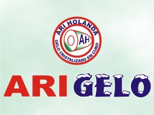 Ari Gelo