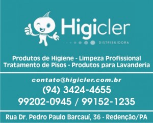Higicler Distribuidora