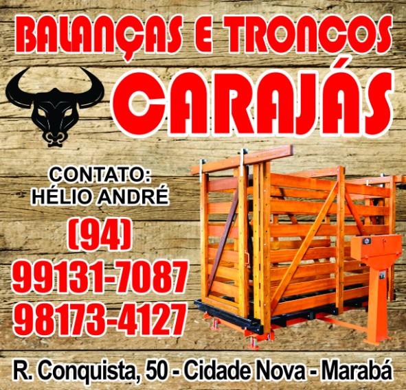 BALANÇAS E TRONCOS CARAJÁS