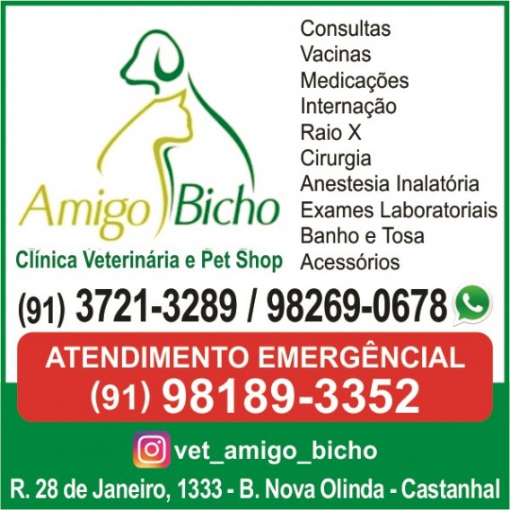 Amigo Bicho