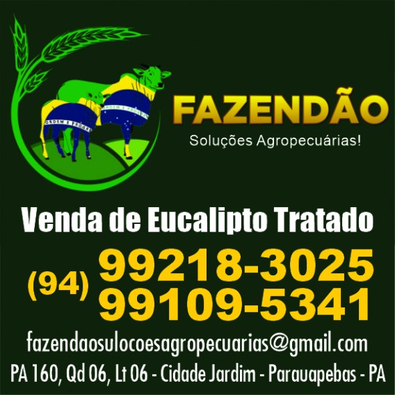 FAZENDÃO SOLUÇÕES AGROPECUÁRIAS