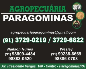 Agropecuária Paragominas