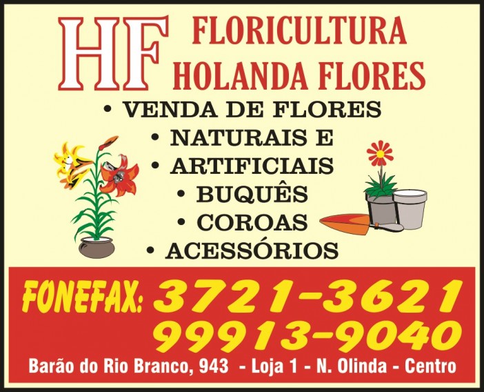Floricultura Holanda Flores