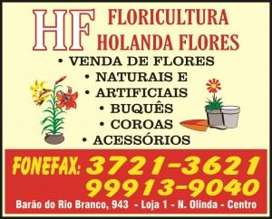 HF Floricultura Holanda Flores