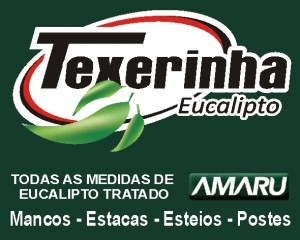 Texerinha Eucalípto